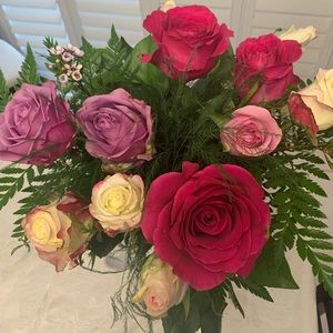 Meet your Posher, Hayley